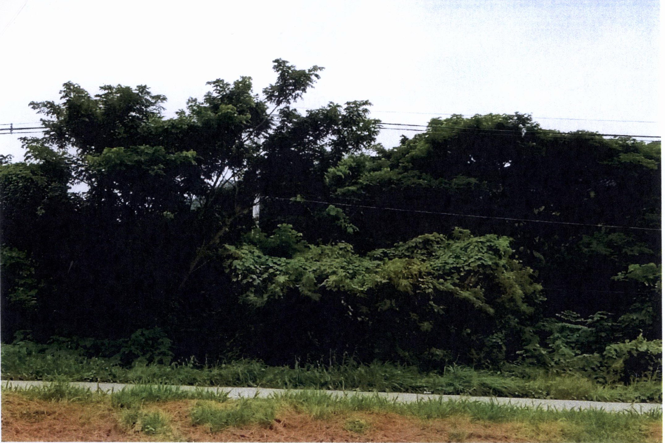 รูปที่ดินว่างเปล่า หนองบัวใต้ เมืองตาก ตาก