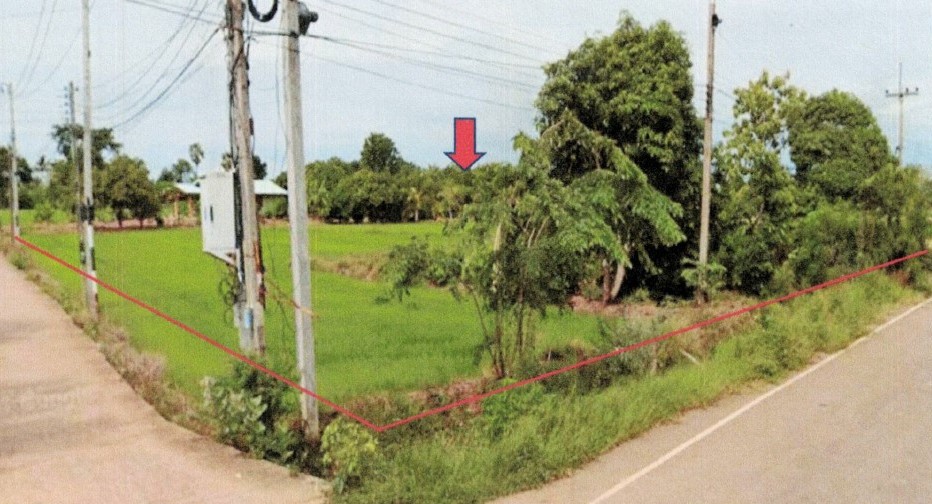 รูปที่ดินว่างเปล่า เขาเจ็ดลูก ทับคล้อ พิจิตร