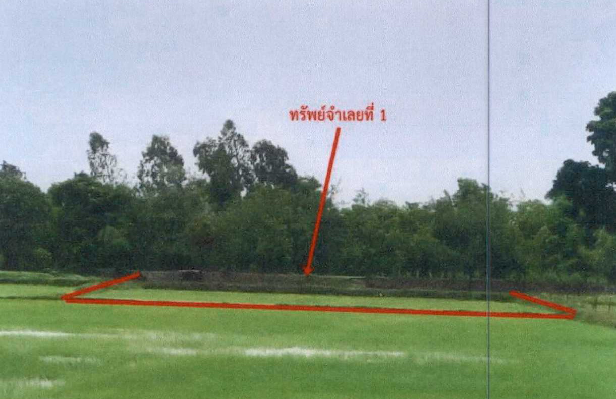 รูปที่ดินว่างเปล่า สะเดา นางรอง บุรีรัมย์