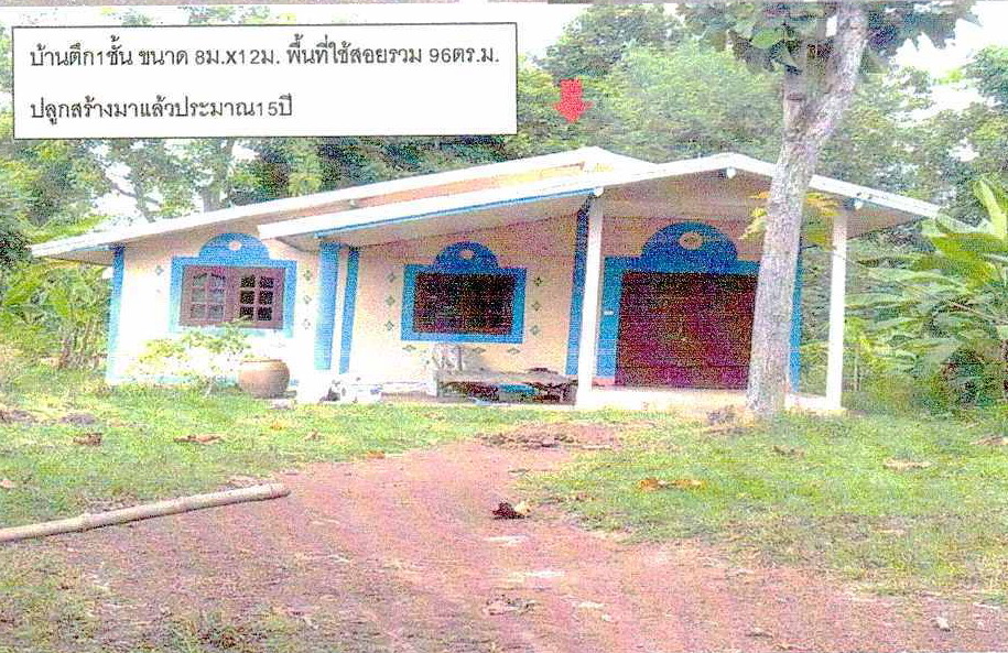 รูปที่ดินพร้อมสิ่งปลูกสร้าง พระธาตุบังพวน เมืองหนองคาย หนองคาย