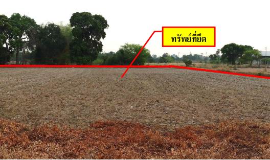 รูปที่ดินว่างเปล่า (หนองไข่นก)โพนแพง ม่วงสามสิบ อุบลราชธานี
