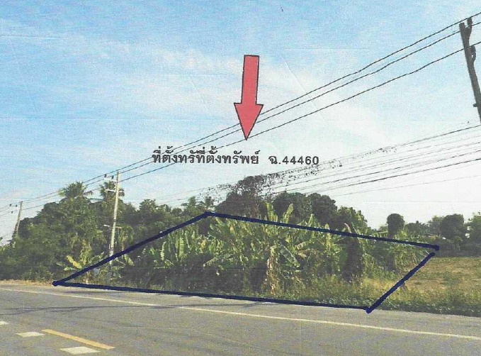 รูปที่ดินว่างเปล่า สามเรือน ศรีสำโรง สุโขทัย