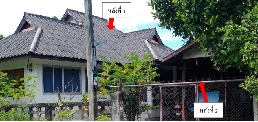 รูปที่ดินพร้อมสิ่งปลูกสร้าง บ้านถ้ำ ดอกคำใต้ พะเยา