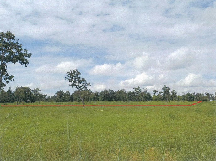 รูปที่ดินว่างเปล่า วานรนิวาส วานรนิวาส สกลนคร