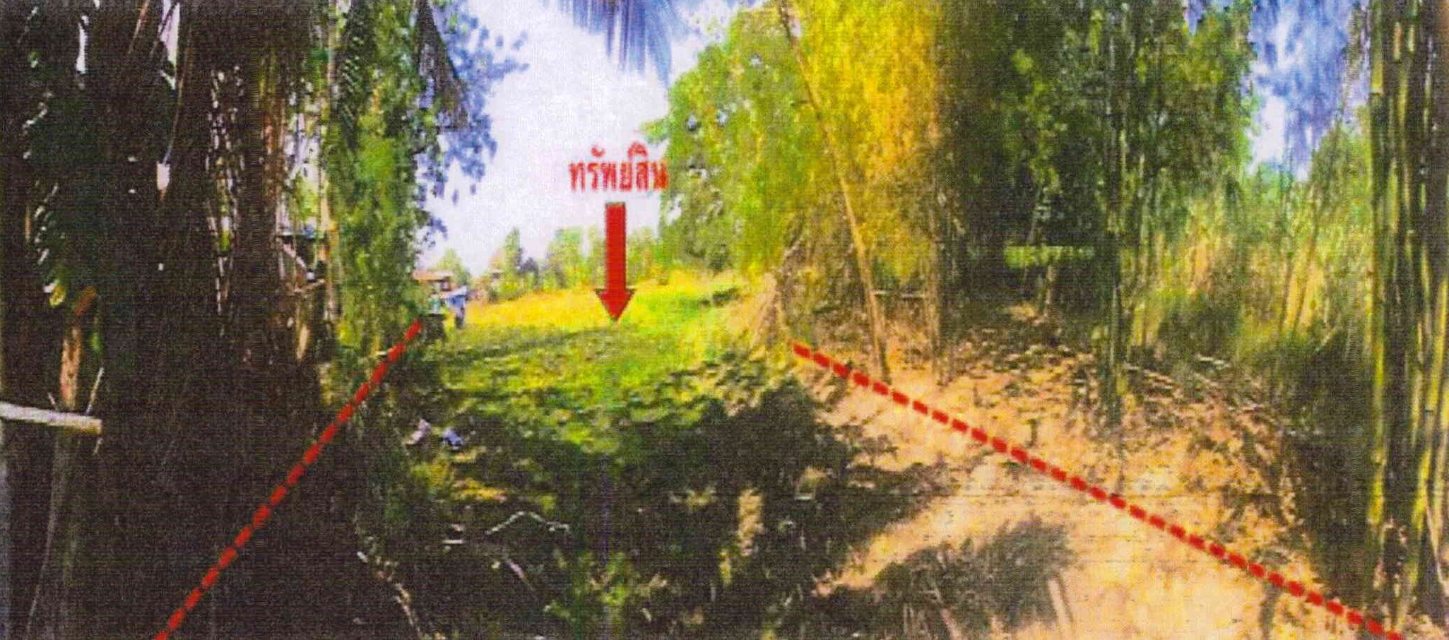 รูปที่ดินว่างเปล่า โคกกะเทียม เมืองลพบุรี ลพบุรี