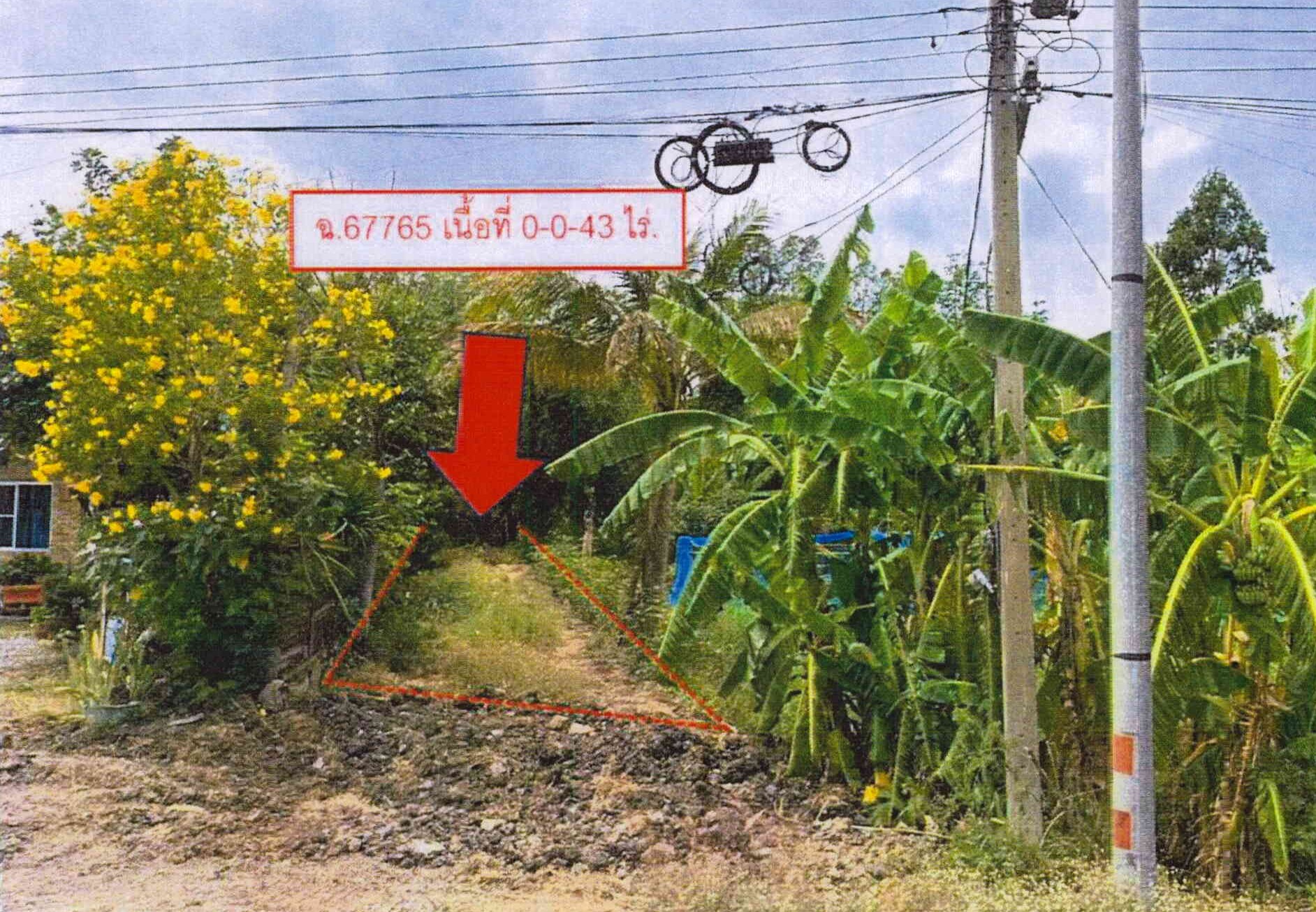 รูปที่ดินว่างเปล่า โคกกะเทียม เมืองลพบุรี ลพบุรี