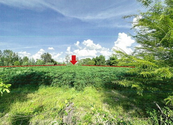 รูปที่ดินว่างเปล่า หนองหิน เมืองยโสธร ยโสธร