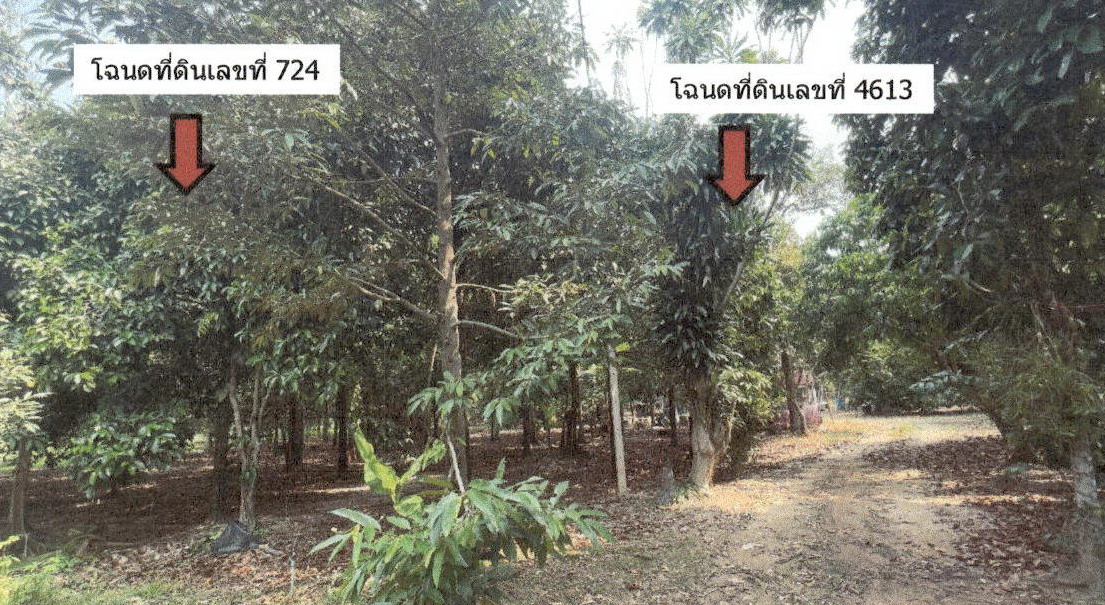 รูปที่ดินว่างเปล่า พลับพลา เมืองจันทบุรี จันทบุรี