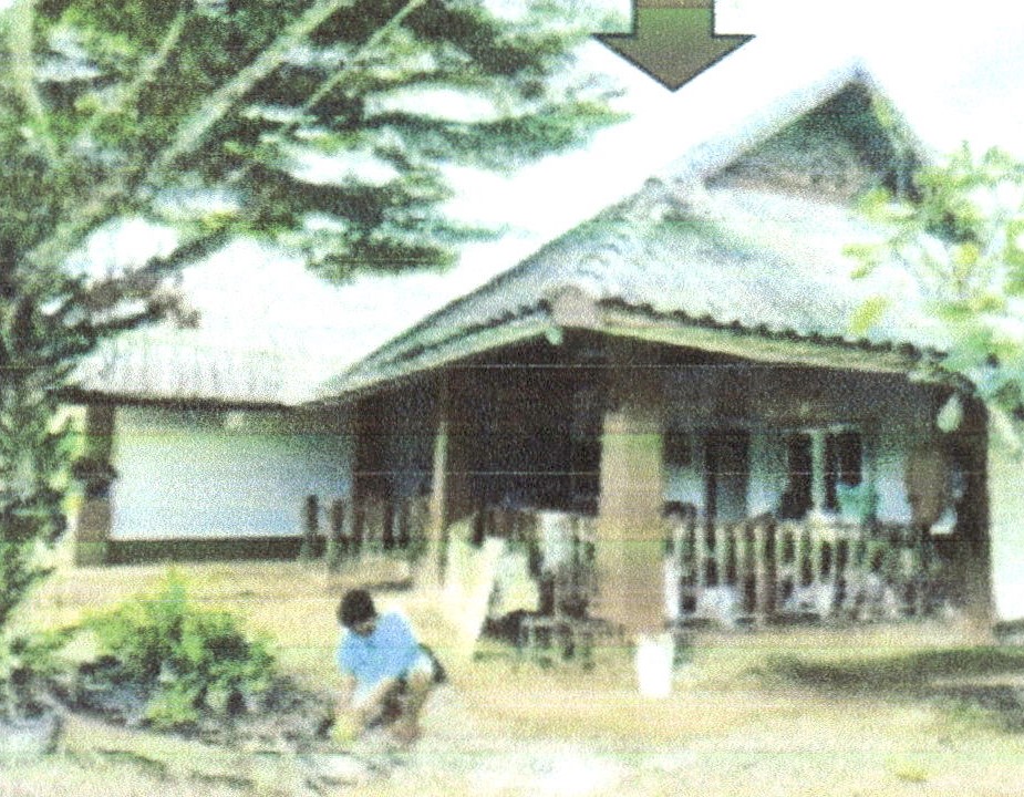 รูปที่ดินพร้อมสิ่งปลูกสร้าง นาชะอัง เมืองชุมพร ชุมพร