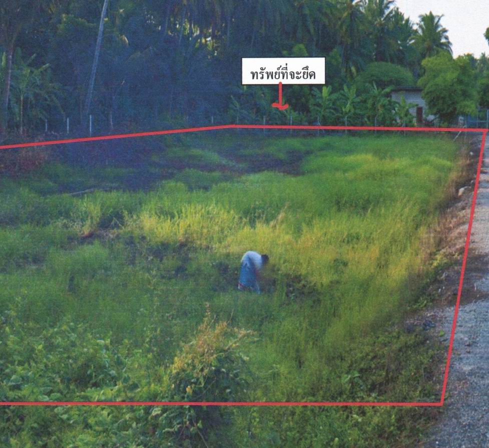 รูปที่ดินว่างเปล่า ชำแระ โพธาราม ราชบุรี