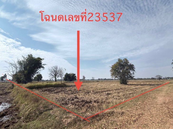 รูปที่ดินว่างเปล่า หนองพลวง ประทาย นครราชสีมา