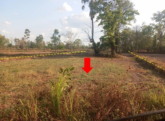 รูปที่ดินว่างเปล่า สังเม็ก กันทรลักษ์ ศรีสะเกษ