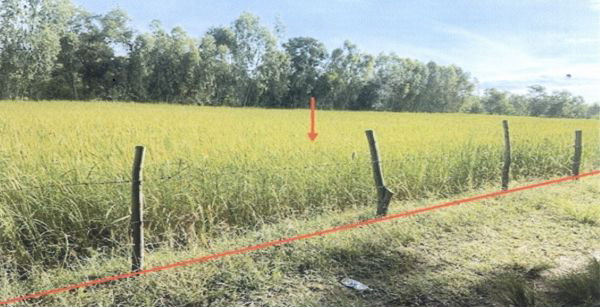 รูปที่ดินว่างเปล่า หนองน้ำใส บ้านไผ่ ขอนแก่น