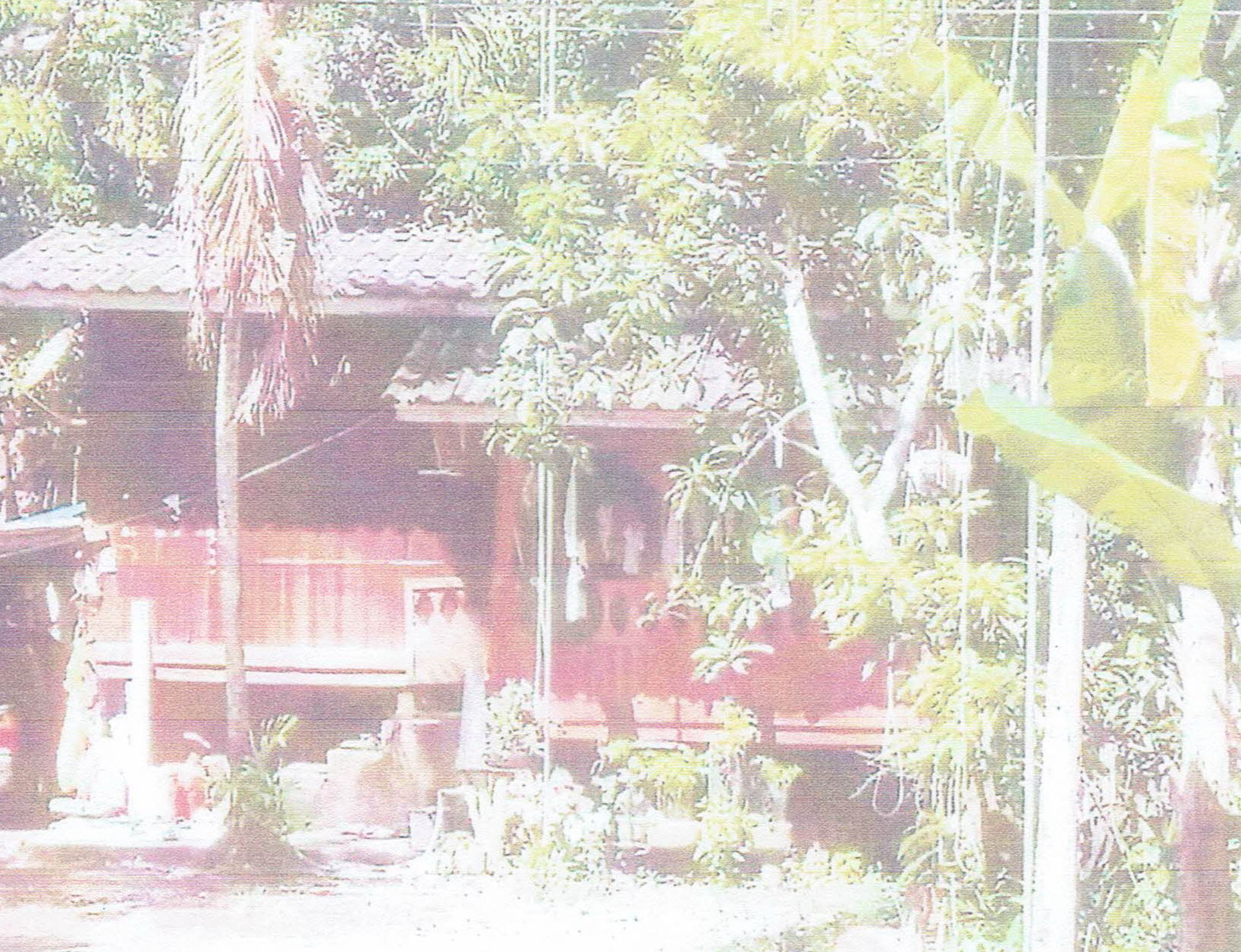 รูปที่ดินพร้อมสิ่งปลูกสร้าง กระโด ยะรัง ปัตตานี