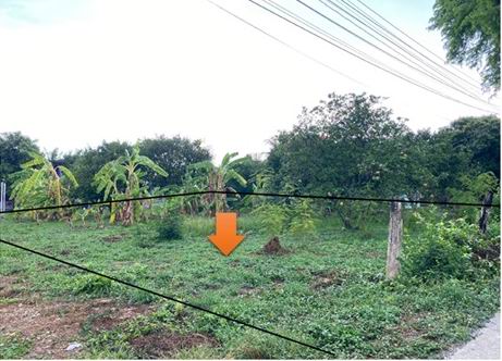 รูปที่ดินว่างเปล่า ป่าขะ บ้านนา นครนายก