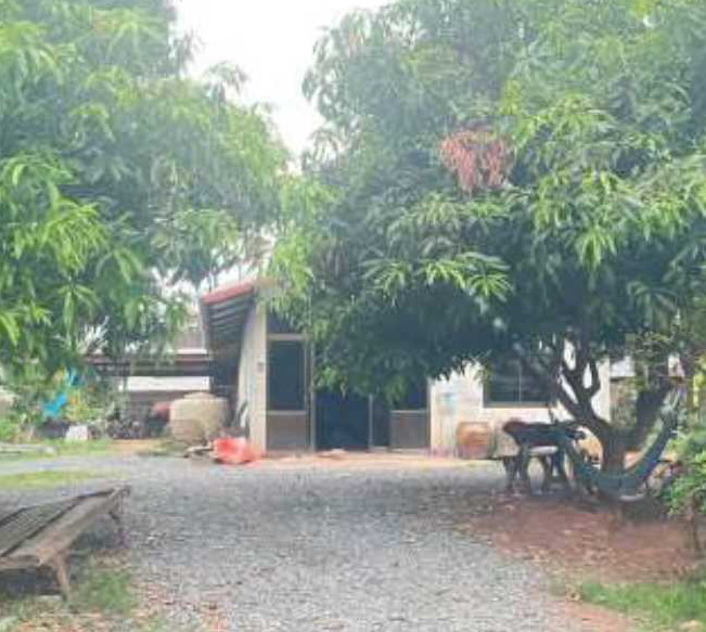 รูปที่ดินพร้อมสิ่งปลูกสร้าง ศรีบุญเรือง ศรีบุญเรือง หนองบัวลำภู