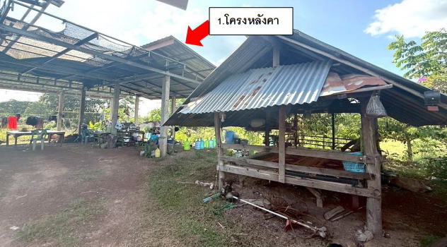 รูปที่ดินพร้อมสิ่งปลูกสร้าง ธาตุทอง สว่างแดนดิน สกลนคร