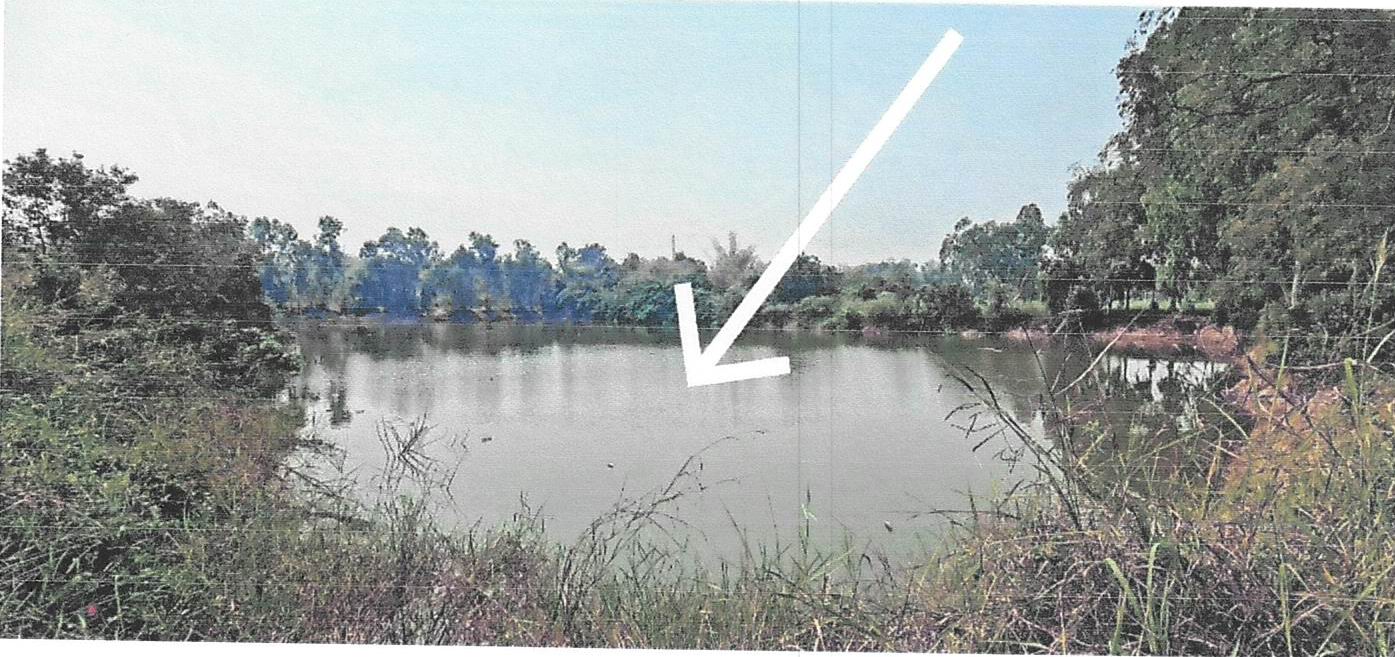 รูปที่ดินว่างเปล่า ตลุก สรรพยา ชัยนาท