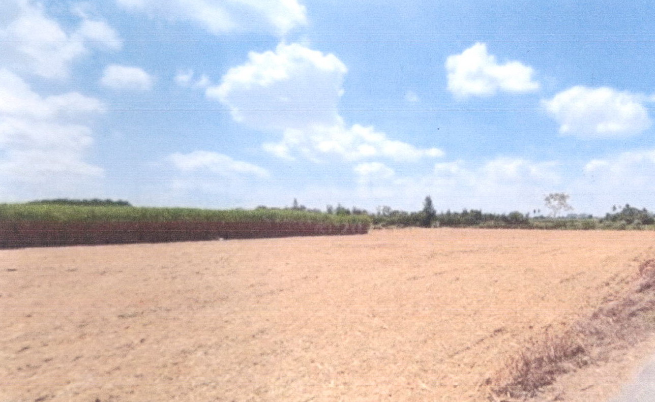 รูปที่ดินว่างเปล่า ทัพหลวง เมืองนครปฐม นครปฐม