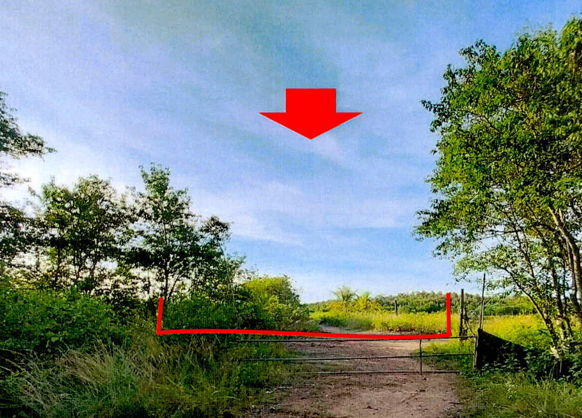 รูปที่ดินว่างเปล่า ตันหยงลุโละ เมืองปัตตานี ปัตตานี