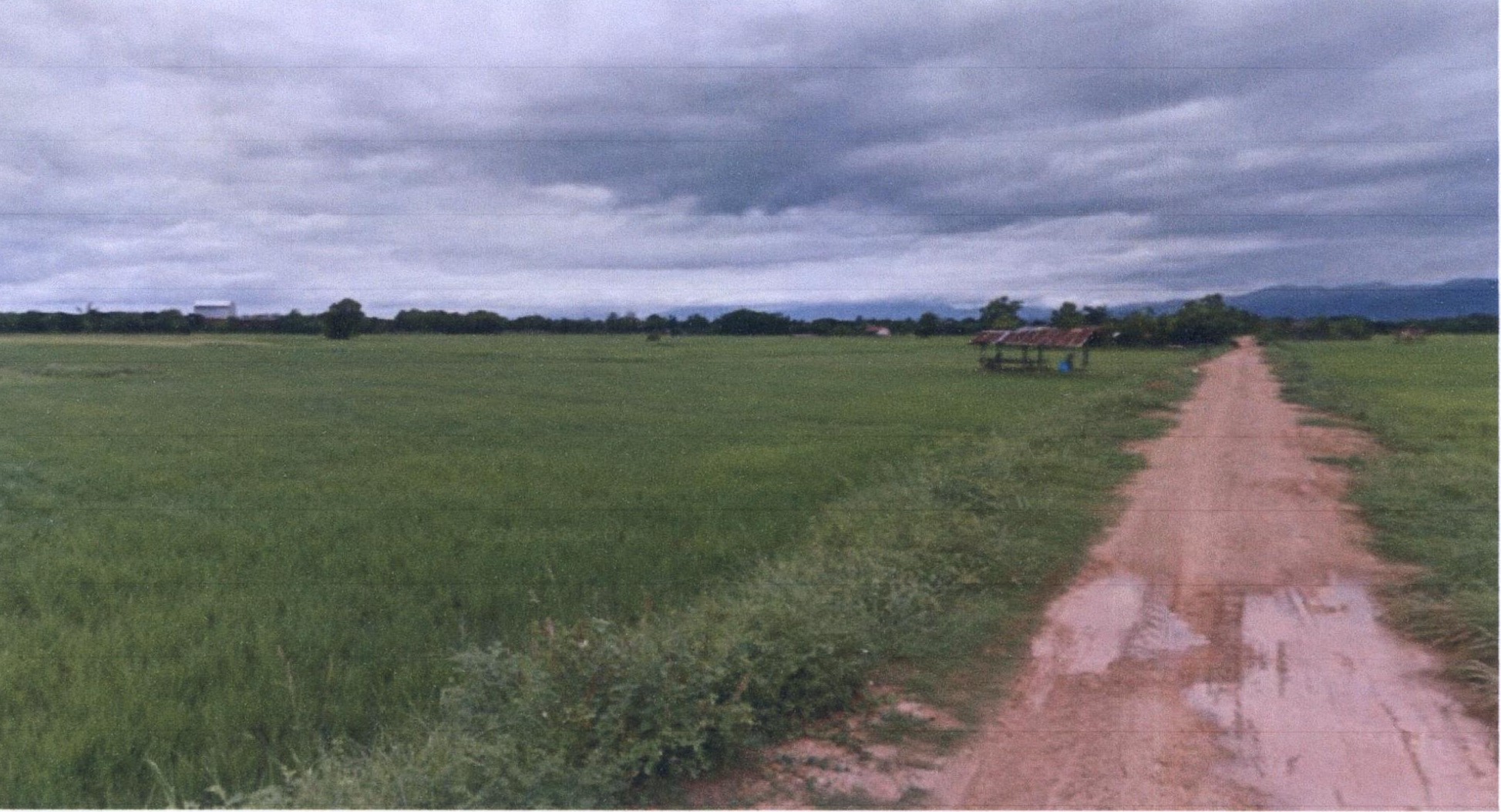 รูปที่ดินว่างเปล่า ทุ่งโฮ้ง เมืองแพร่ แพร่