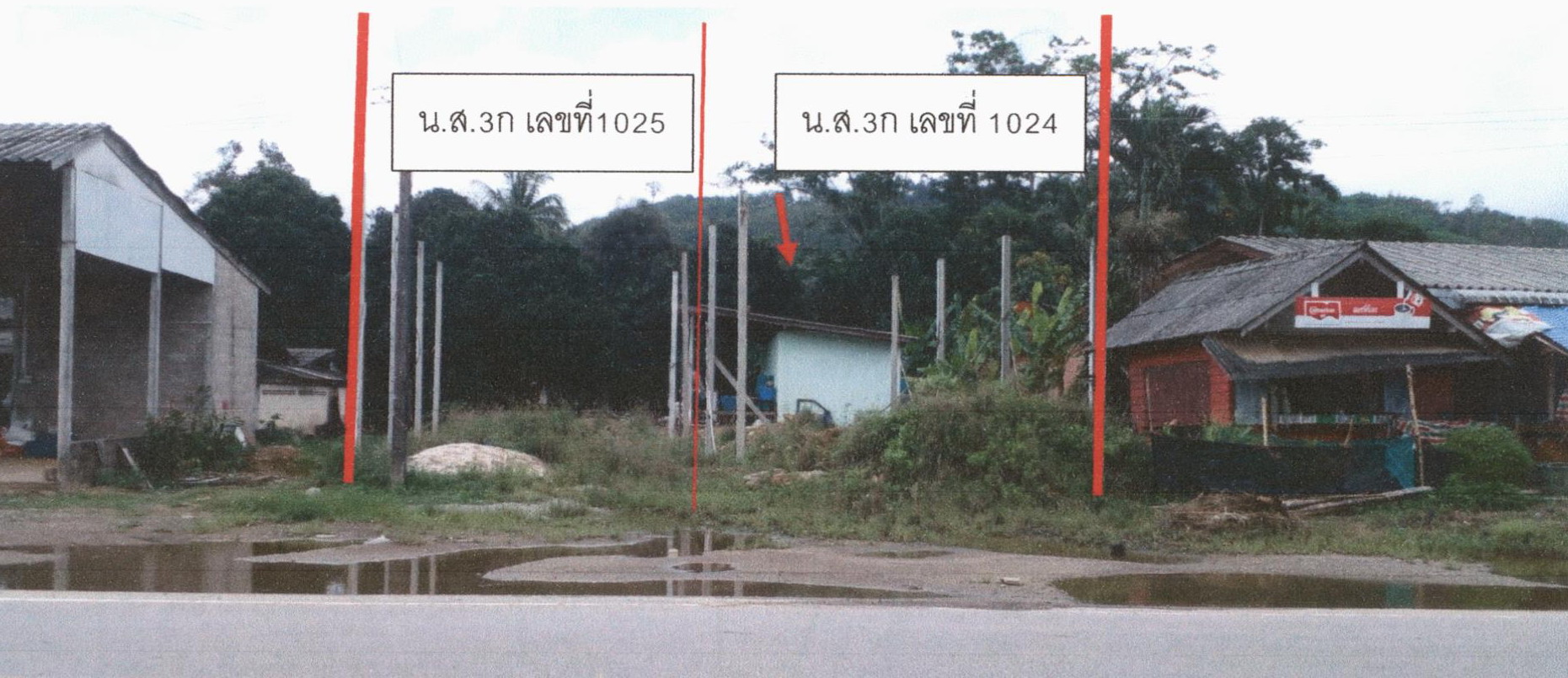 รูปที่ดินพร้อมสิ่งปลูกสร้าง ปังหวาน พะโต๊ะ ชุมพร