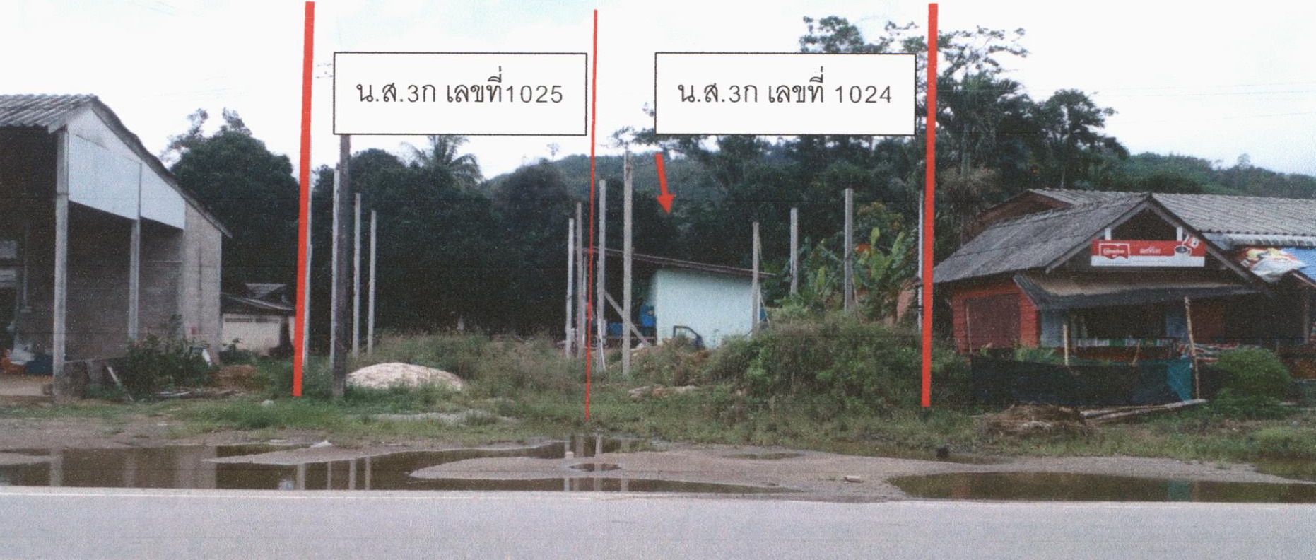 รูปที่ดินว่างเปล่า ปังหวาน พะโต๊ะ ชุมพร