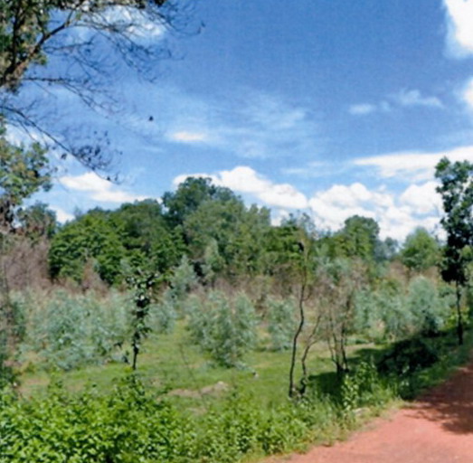 รูปที่ดินว่างเปล่า บ้านกลาง เมืองนครพนม นครพนม