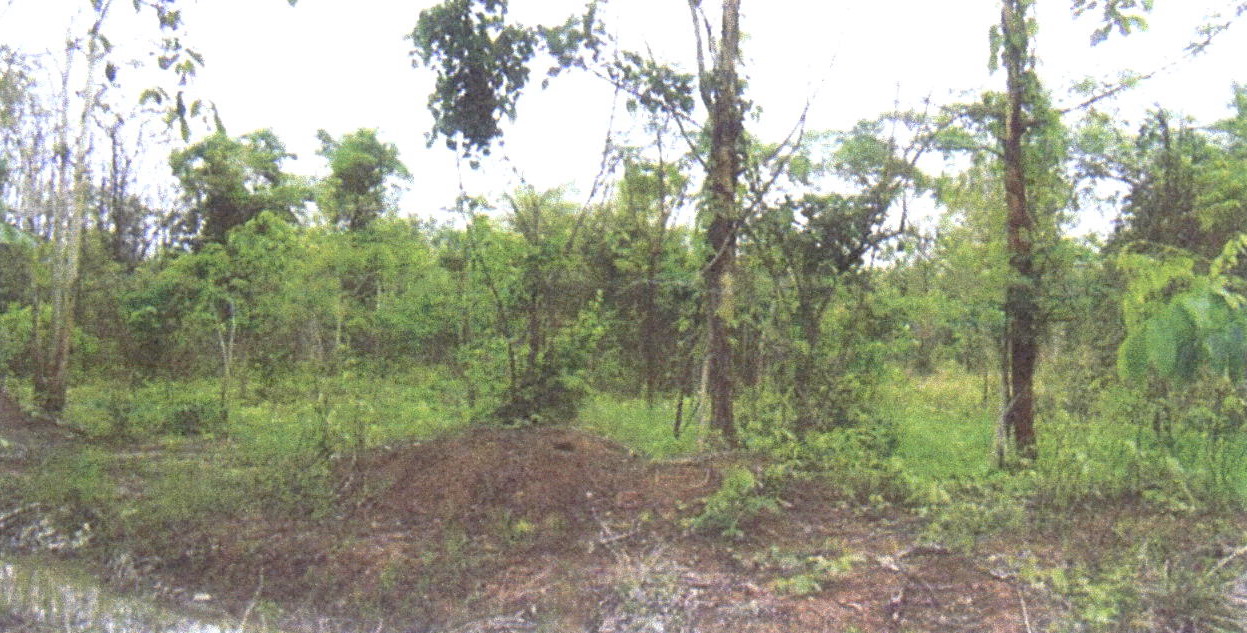รูปที่ดินว่างเปล่า แสนตอ น้ำปาด อุตรดิตถ์