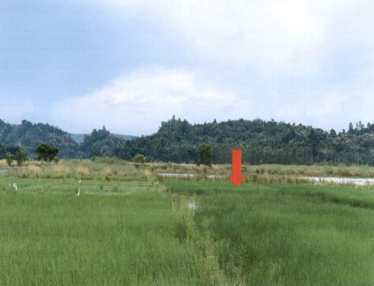 รูปที่ดินว่างเปล่า ดอยลาน เมืองเชียงราย เชียงราย