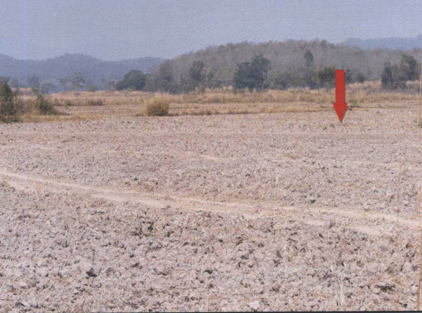รูปที่ดินว่างเปล่า ดอยลาน เมืองเชียงราย เชียงราย