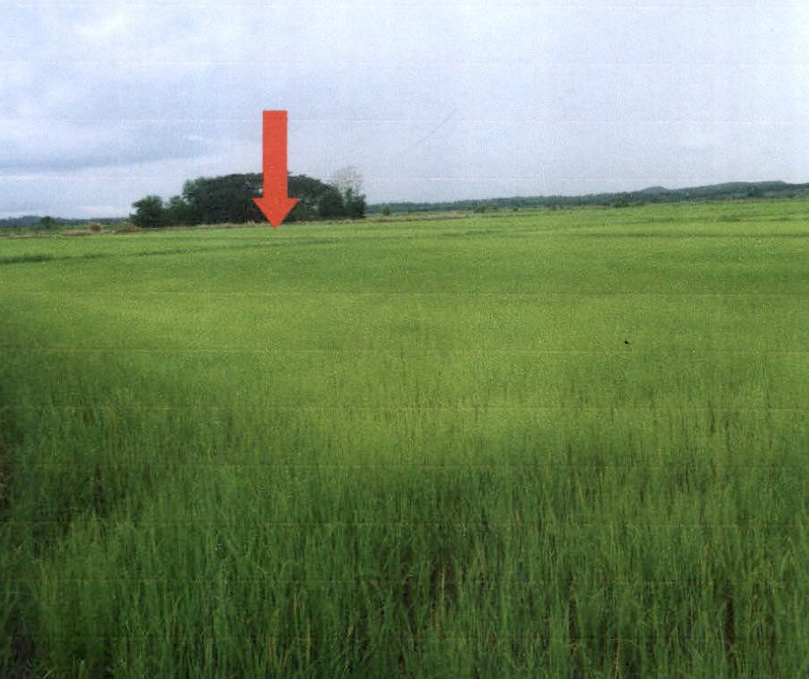 รูปที่ดินว่างเปล่า ดอยลาน เมืองเชียงราย เชียงราย