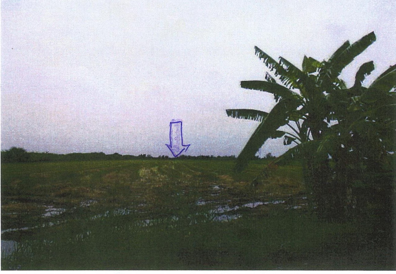รูปที่ดินว่างเปล่า หนองจอก(คลองหลวงแพ่ง) หนองจอก(เจียระดับ) กรุงเทพมหานคร