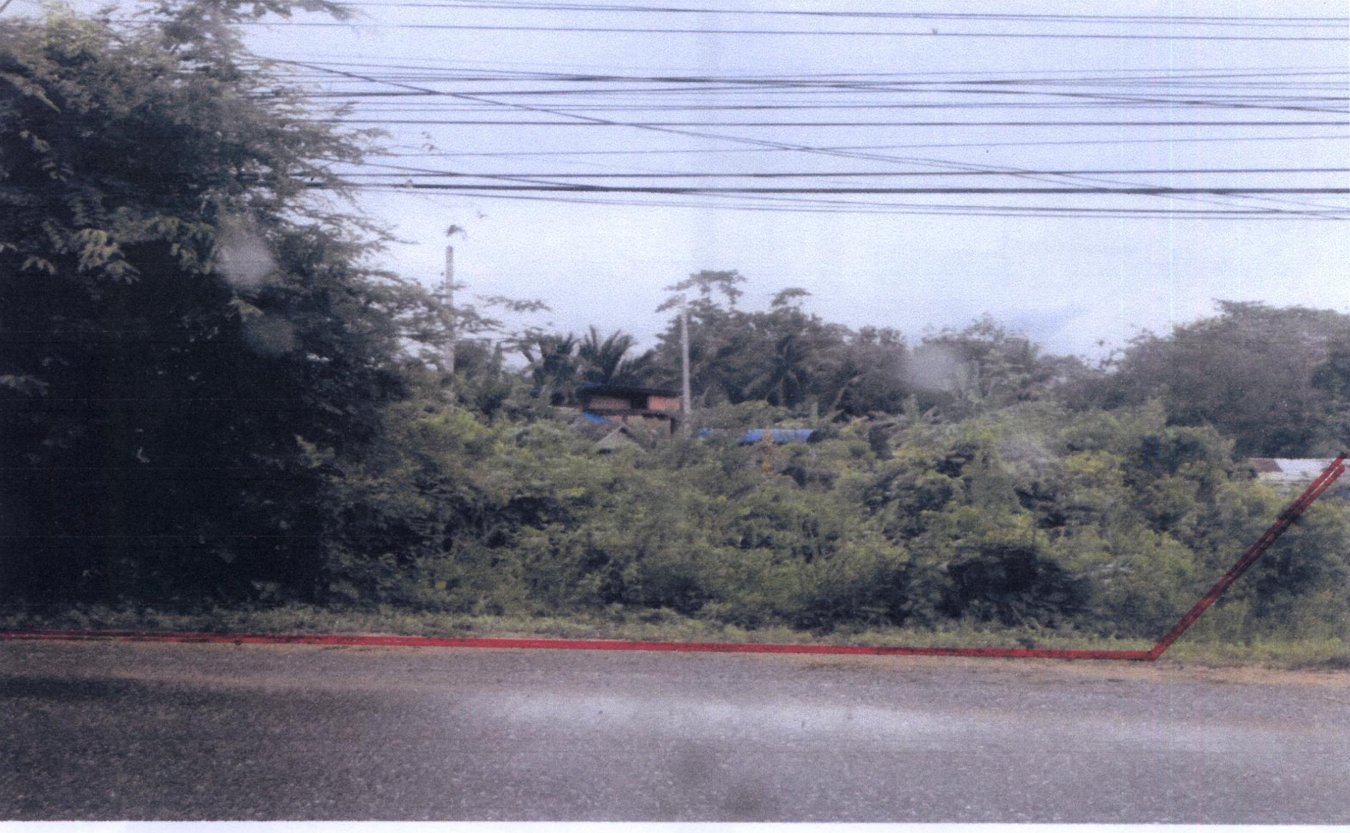 รูปที่ดินว่างเปล่า ทุ่งลาน คลองหอยโข่ง สงขลา