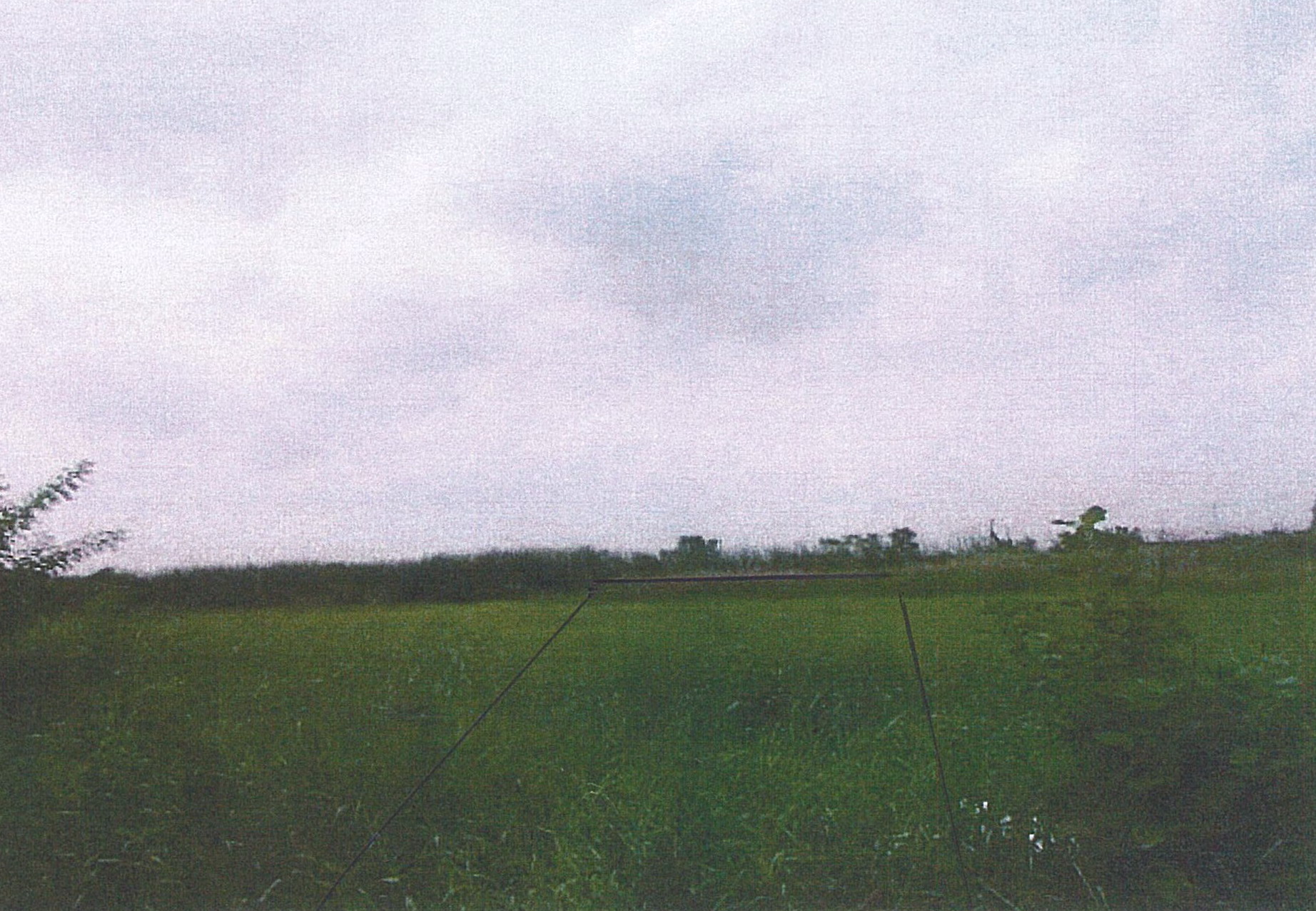 รูปที่ดินว่างเปล่า ลำผักชี หนองจอก(เจียระดับ) กรุงเทพมหานคร