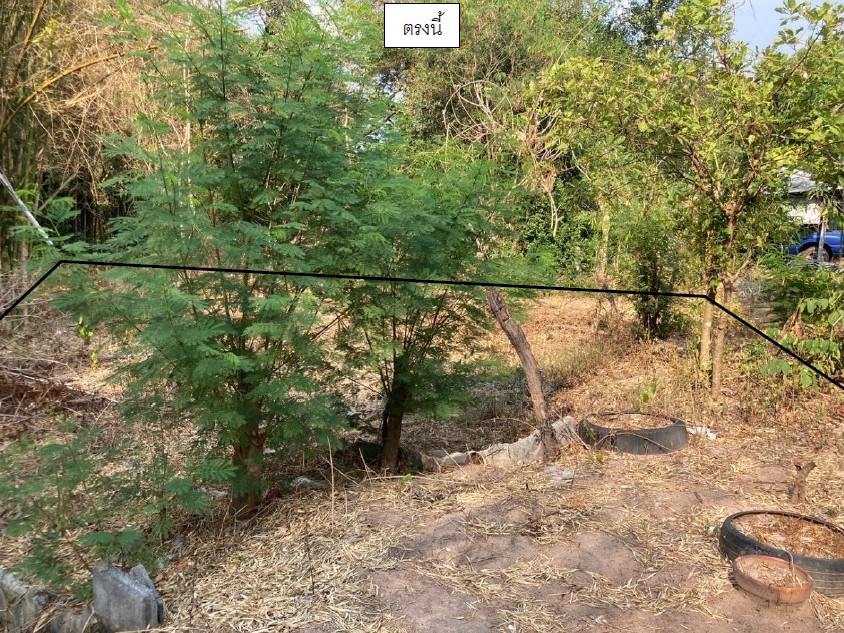 รูปที่ดินว่างเปล่า เหล่าเสือโก้ก เมืองอุบลราชธานี อุบลราชธานี