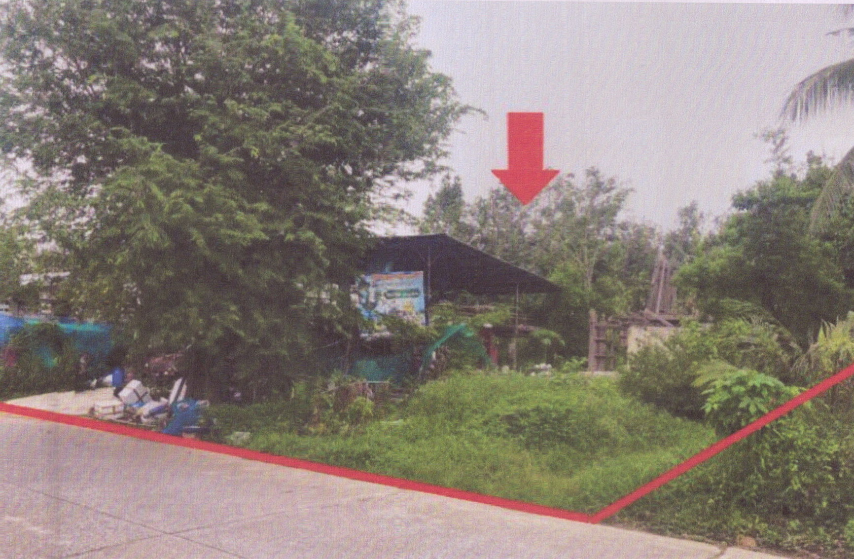 รูปที่ดินพร้อมสิ่งปลูกสร้าง บ้านพรุ หาดใหญ่ สงขลา