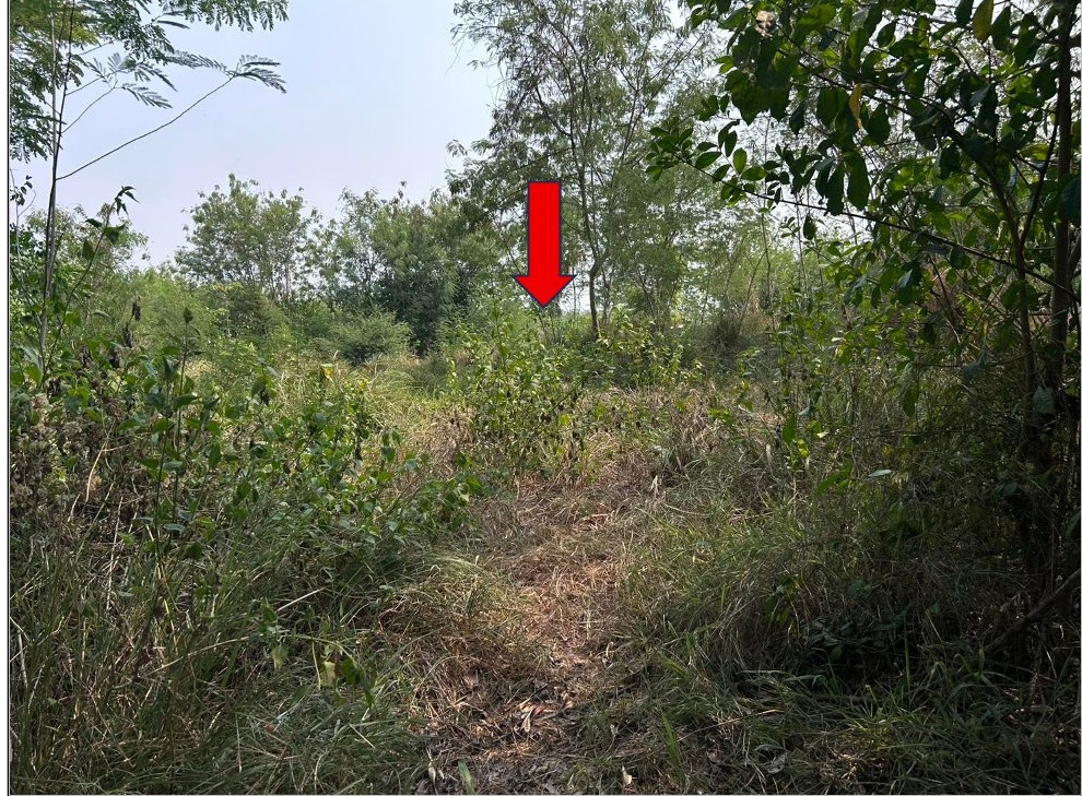 รูปที่ดินว่างเปล่า ท่าพระ เมืองขอนแก่น ขอนแก่น