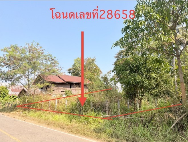 รูปที่ดินว่างเปล่า กุดสิมคุ้มใหม่ เขาวง กาฬสินธุ์