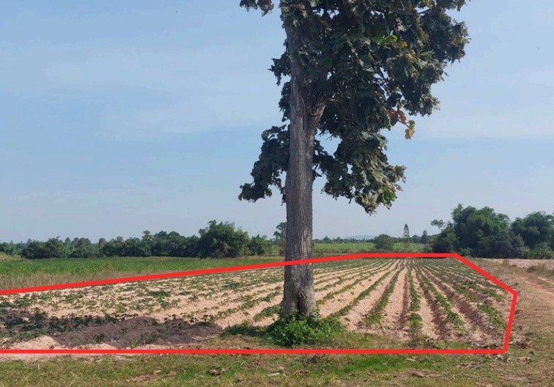รูปที่ดินว่างเปล่า กุดจิก ท่าคันโท กาฬสินธุ์