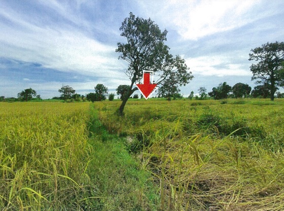 รูปที่ดินว่างเปล่า วังสามัคคี โพนทอง ร้อยเอ็ด