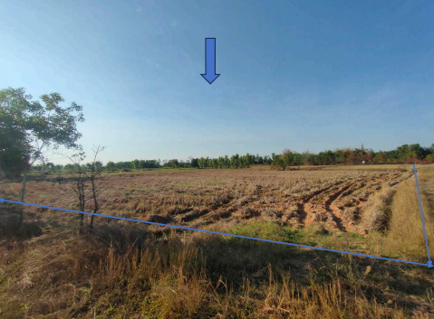 รูปที่ดินว่างเปล่า เหล่า ทุ่งเขาหลวง ร้อยเอ็ด