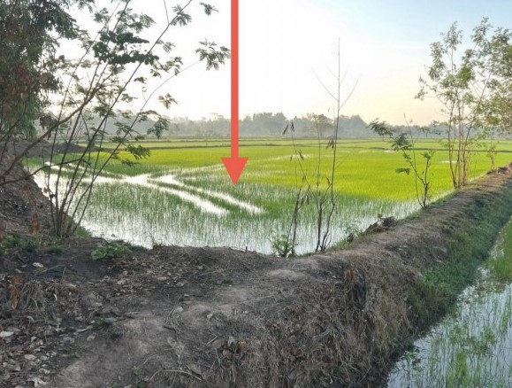 รูปที่ดินว่างเปล่า หนองแปน กมลาไสย กาฬสินธุ์