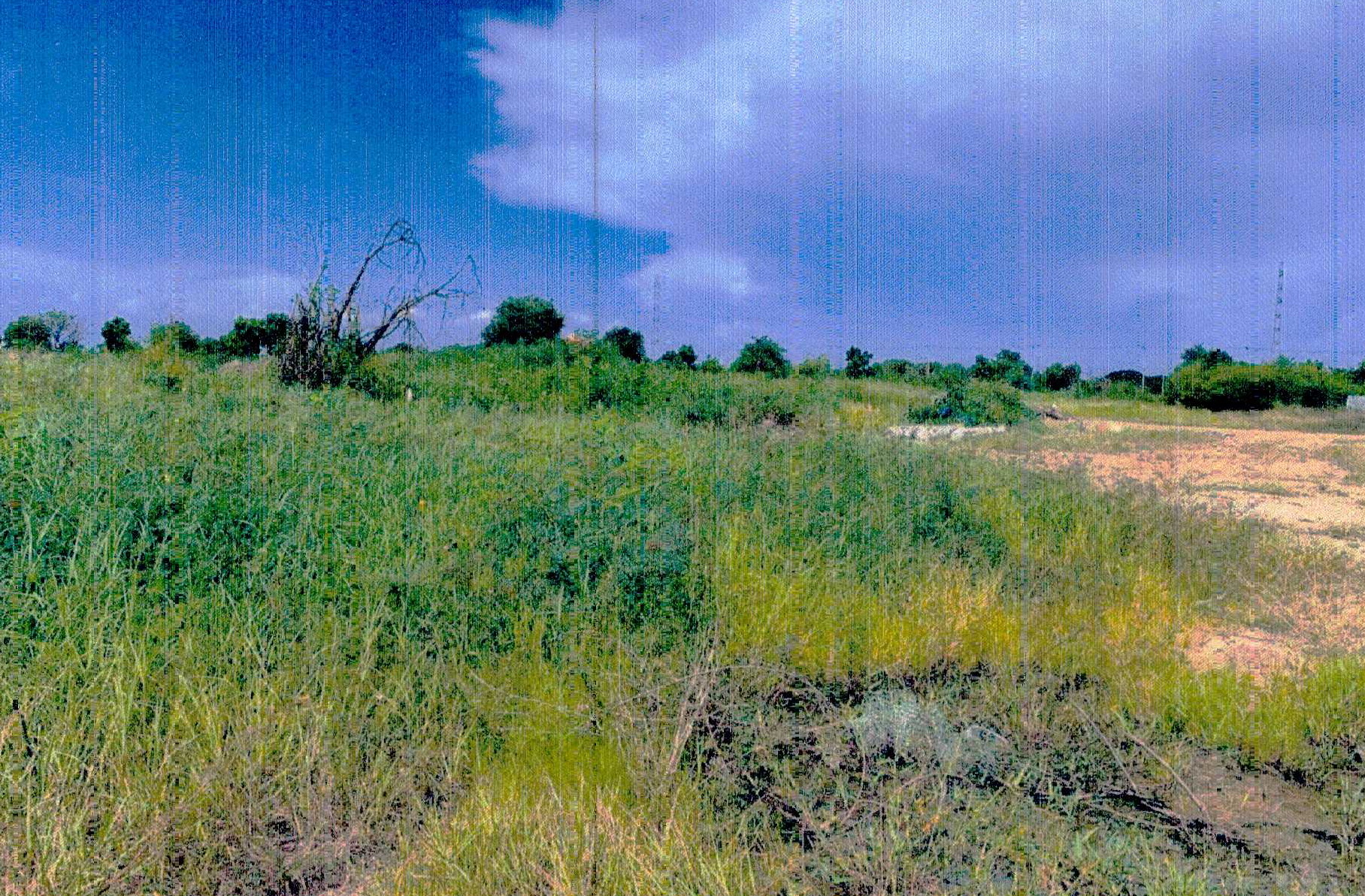 รูปที่ดินว่างเปล่า บางนาง พานทอง ชลบุรี