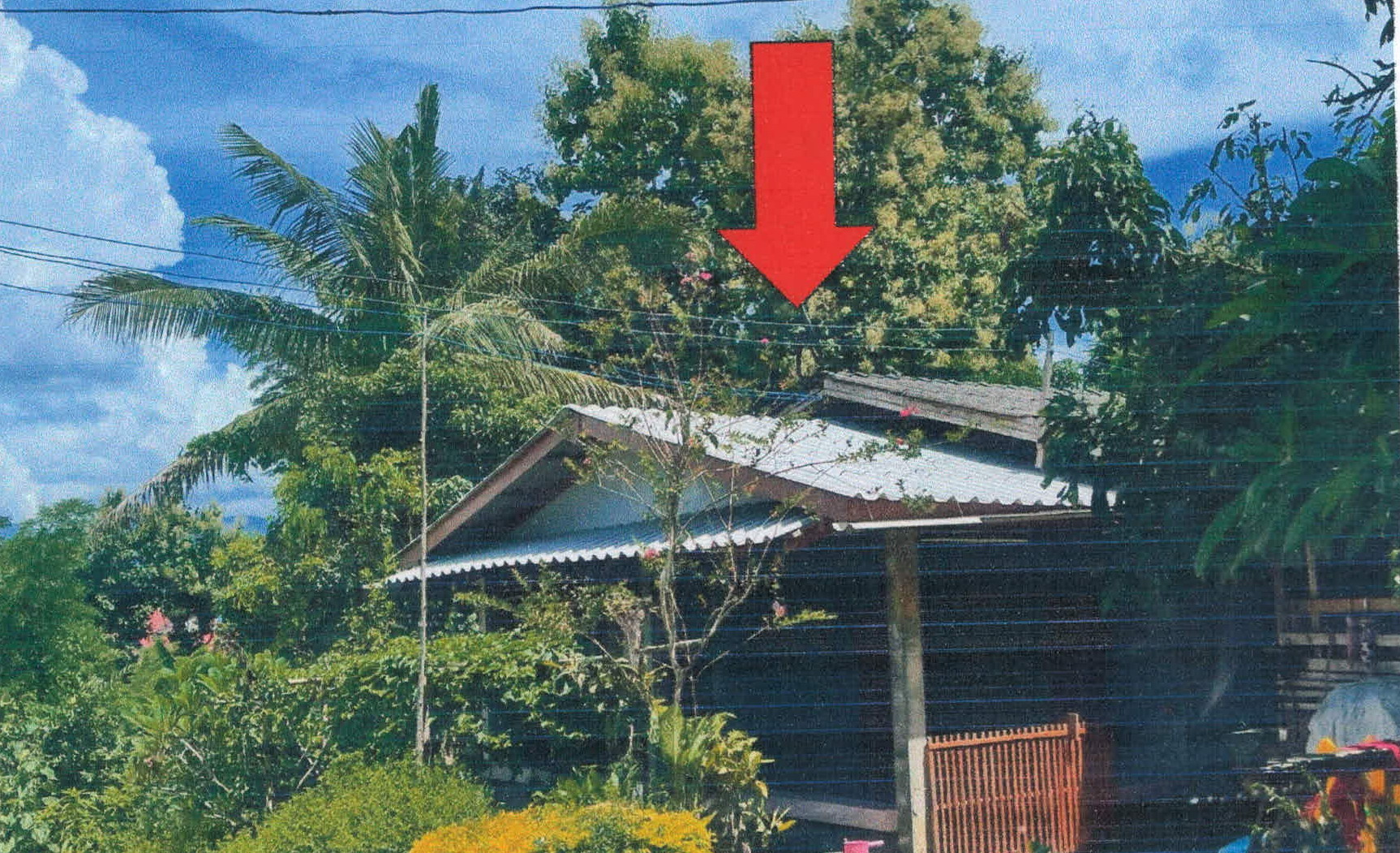 รูปที่ดินพร้อมสิ่งปลูกสร้าง วังเหนือ วังเหนือ ลำปาง