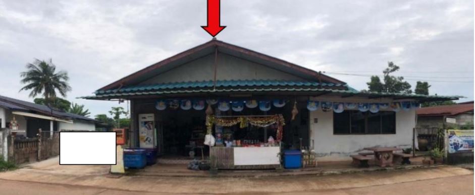 รูปที่ดินพร้อมสิ่งปลูกสร้าง บ้านธาตุ เพ็ญ อุดรธานี