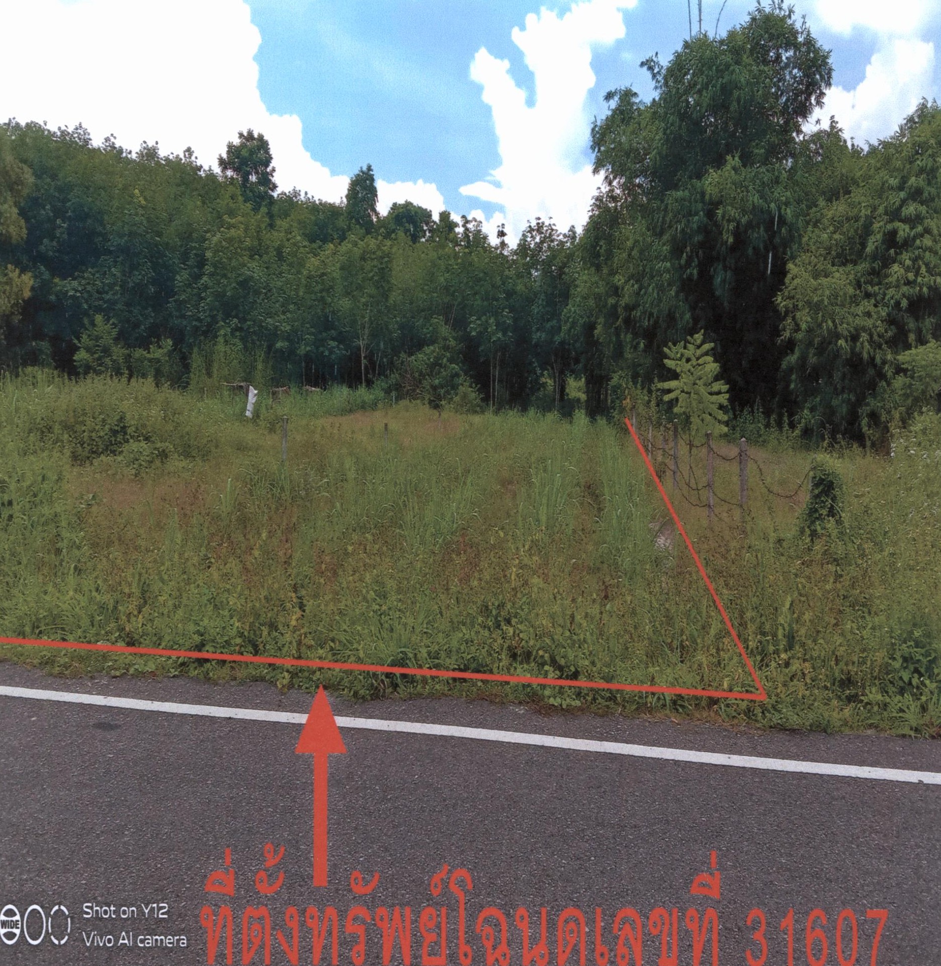 รูปที่ดินว่างเปล่า เขาพระ รัตภูมิ สงขลา