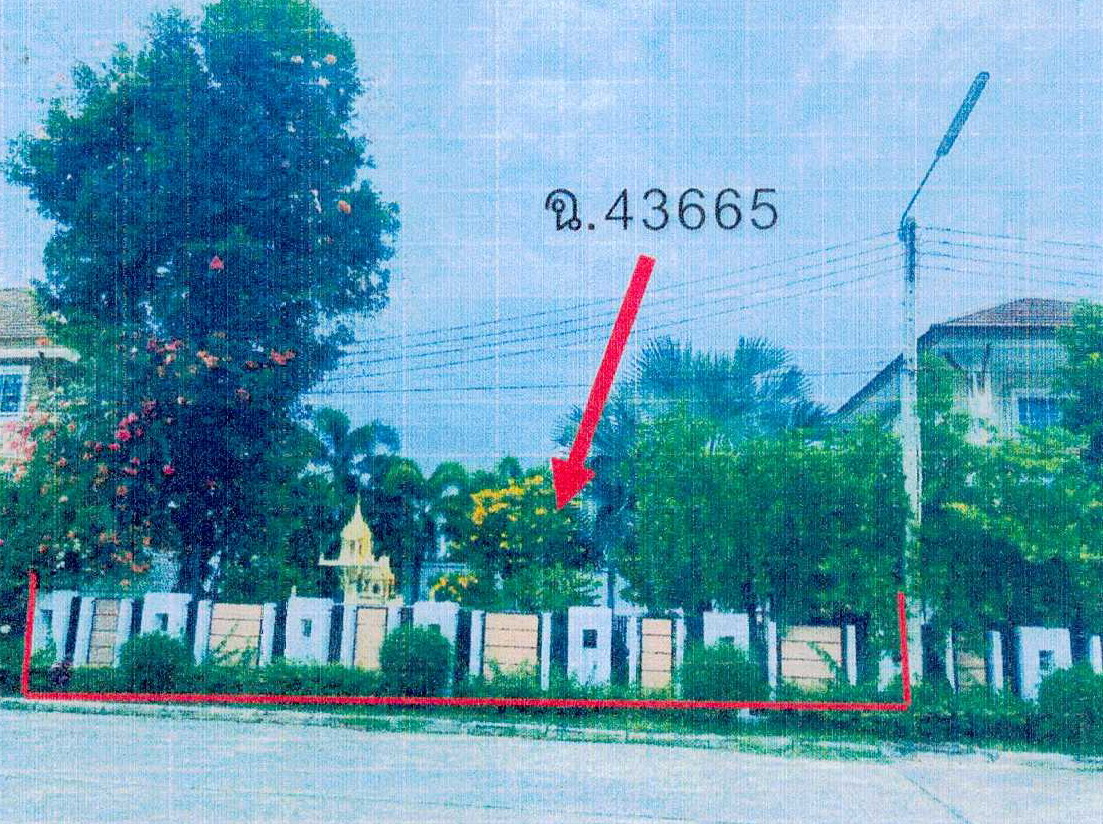 รูปที่ดินพร้อมสิ่งปลูกสร้าง บ้านบึง บ้านบึง ชลบุรี