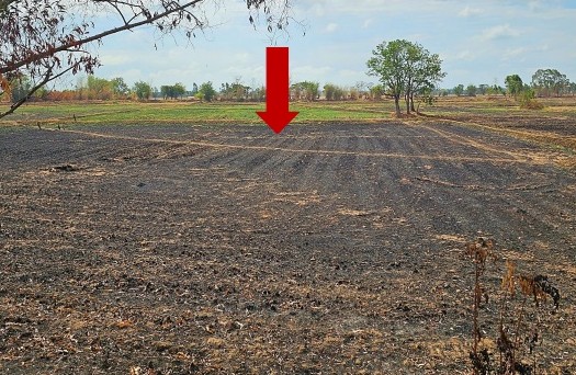 รูปที่ดินว่างเปล่า โคกสะอาด ฆ้องชัย กาฬสินธุ์