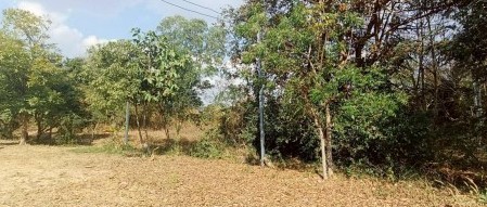 รูปที่ดินว่างเปล่า ร่องคำ ร่องคำ กาฬสินธุ์
